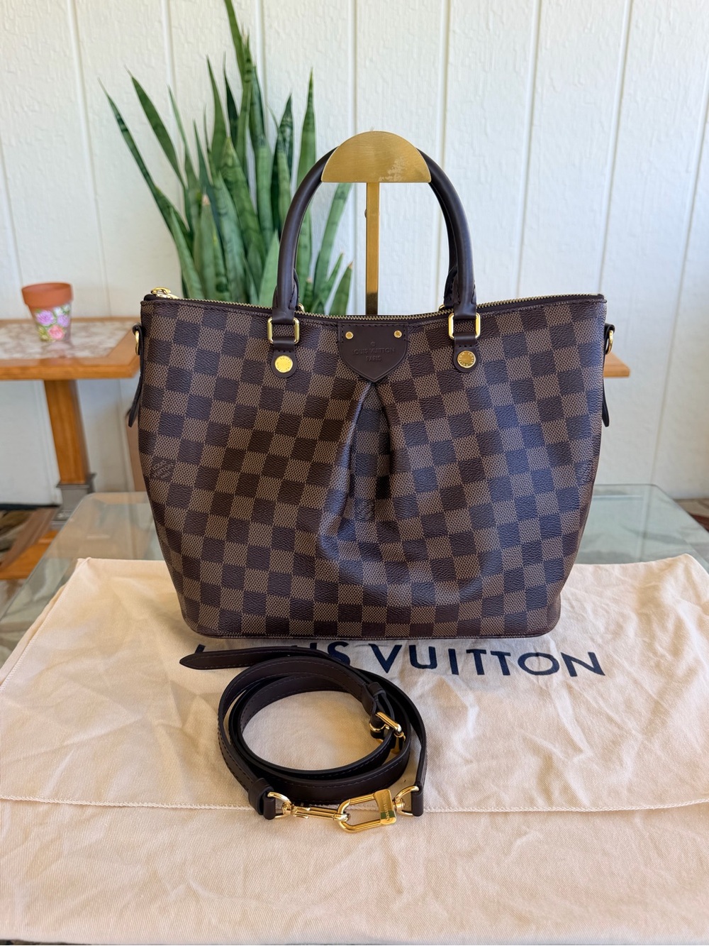 Louis Vuitton Damier Ebene Siena MM Shoulder Bag💝💝💝